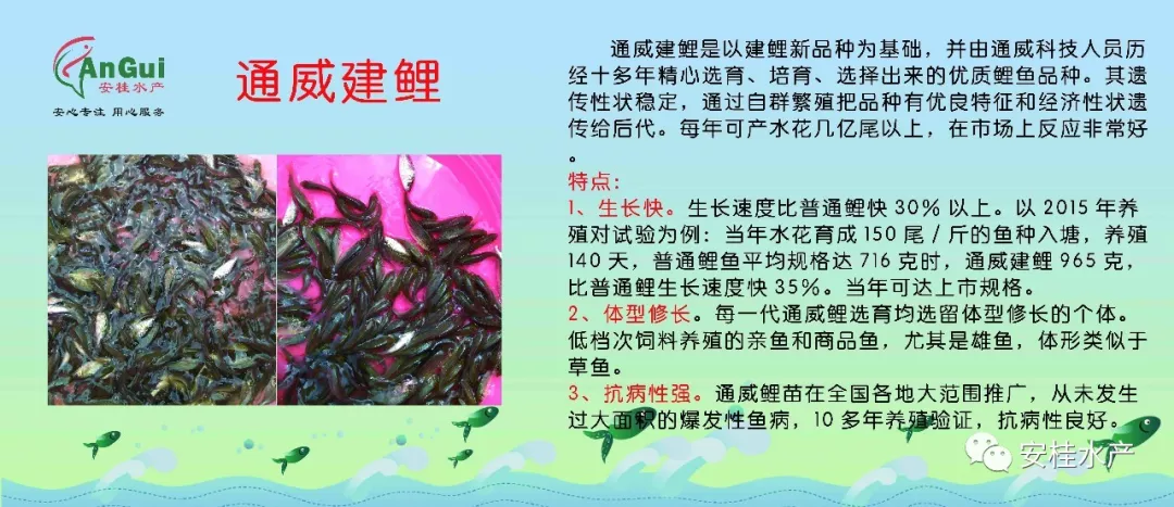 微信图片_20180714090223.png