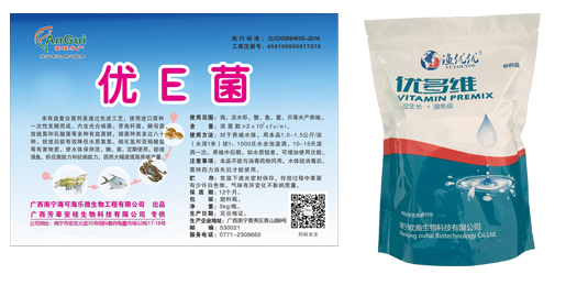细菌性病.jpg