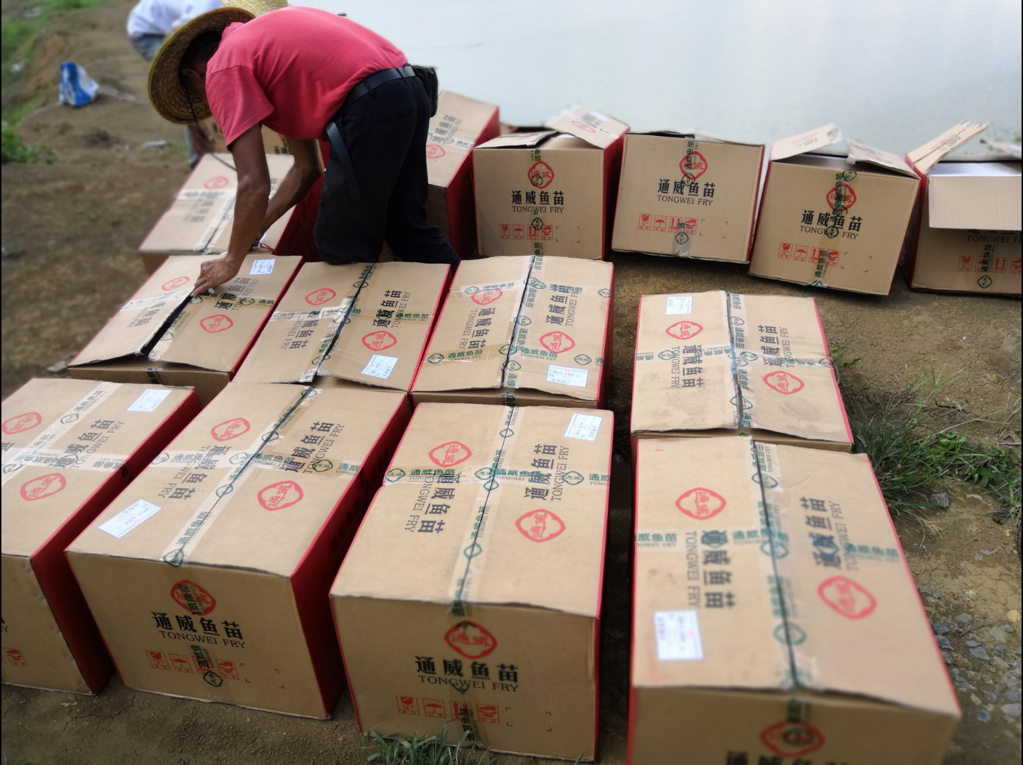 QQ截图20180723090445.png