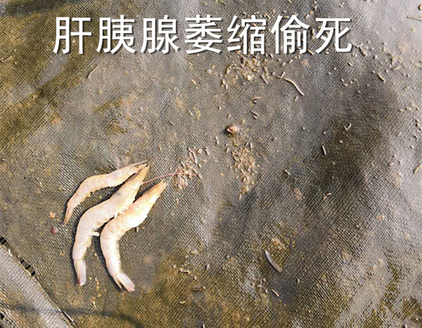 微信图片_20190425202555_副本_副本.jpg